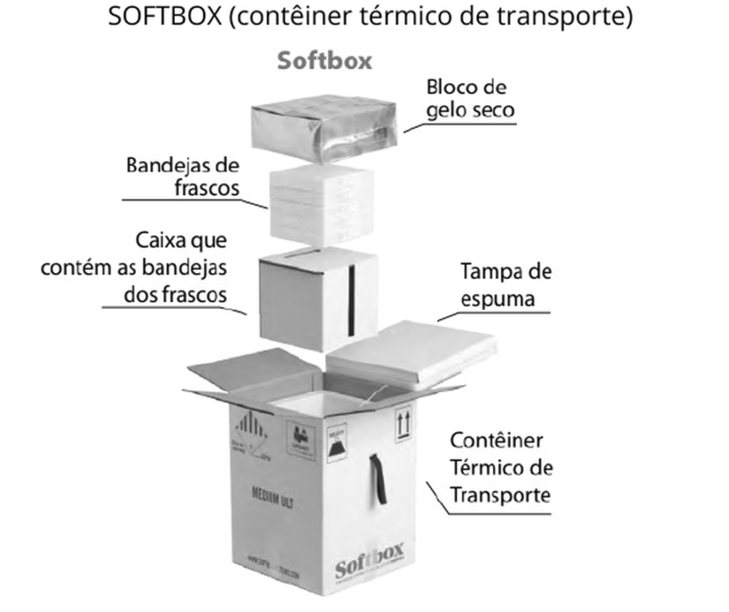 Figura oficial da Questão 22 do PAVE 2 2021 mostrando a Softbox e seus componentes: bloco de gelo seco, bandejas de frascos, caixa, tampa de espuma e contêiner térmico de transporte.